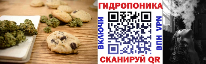 купить наркотики сайты  Богородск  Еда ТГК конопля 
