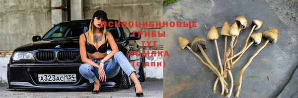 не бодяженный Белокуриха