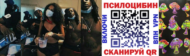 OMG ссылка  Богородск  Галлюциногенные грибы Psilocybine cubensis  купить  