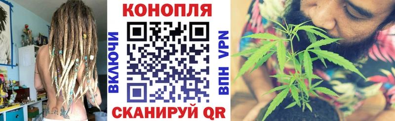 Марихуана планчик Богородск